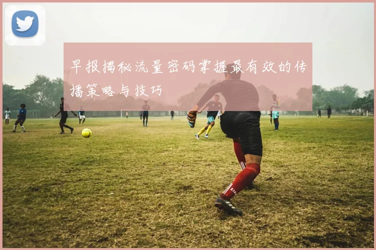 早报揭秘流量密码掌握最有效的传播策略与技巧