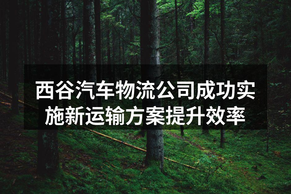 西谷汽车物流公司新运输方案实施现场