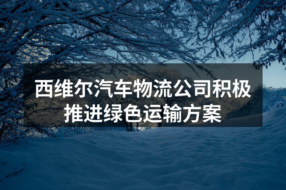 西维尔新能源车队在运行中