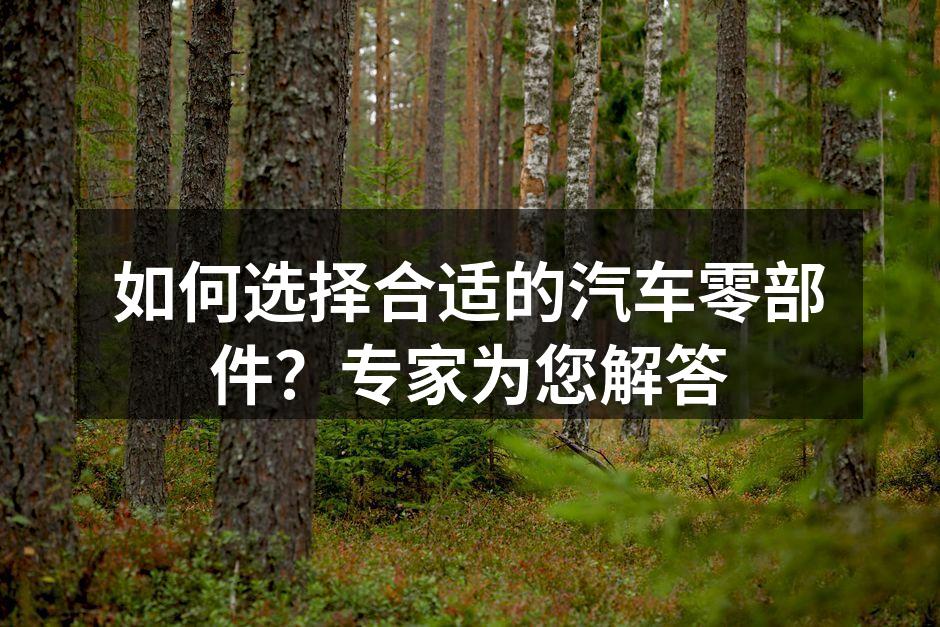 专业汽车零部件选择