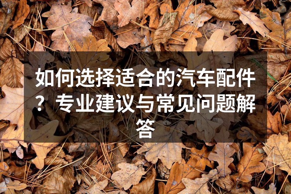 专业汽车维修技师在检查配件